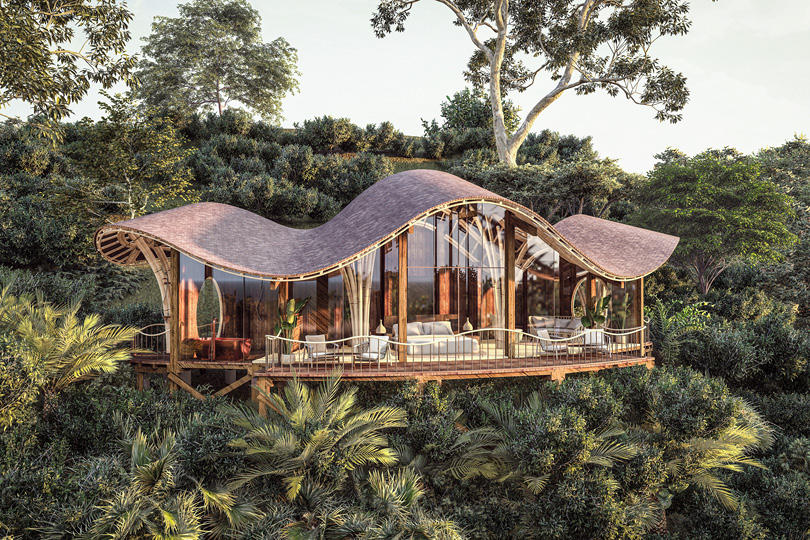 Suite in Bwindi forest